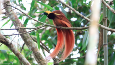 Central Cement Project threatening lives and livelihoods