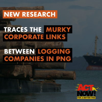 THE NEW TIMBER BARONS: The Companies Logging the Forest of Papua New Guinea