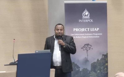 PNG's rainforest in danger; illegal logging crisis fuel human rights abuses and threaten biodiversity