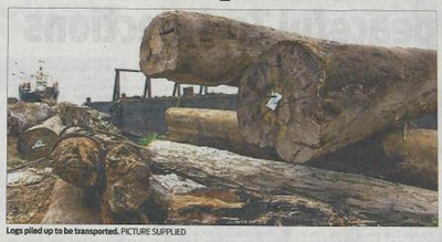 CEPA stops Kulawood operations on Woodlark Island