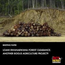 UNODC report reveals US$1.5 billion hole in PNG’s log export income