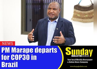 Lack of reliable log export data will undermine PM at COP30