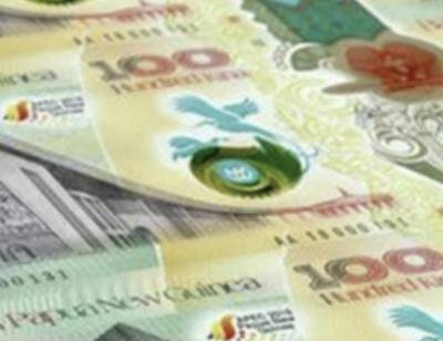 UN Committee urged to act on rights violations and illegal logging