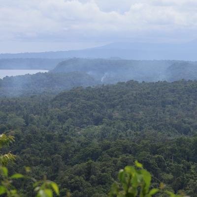 LAUNCHED: New music video promotes importance of customary land