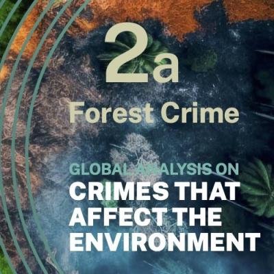 Seminar demands action on FCA Forest Grab