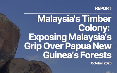 New report reveals Malaysian exploitation of PNG forests