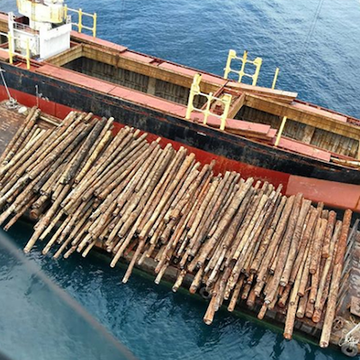 Civil Society Petitions Parliament to Stop Illegal Logging