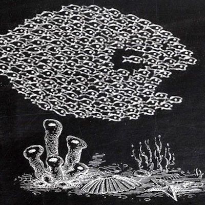 Community win over FOI bid in Seabed Mining Case