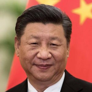 Civil society petitions China to stop illegal logging in PNG